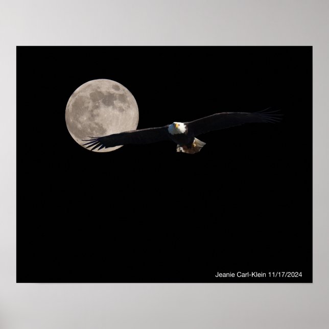 Poster Aigle à travers la lune (Devant)