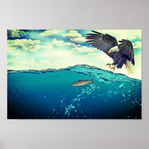 Poster Aigle attrapant un poisson