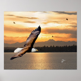 Poster Aigle Bald sur la montagne olympique Coucher du so
