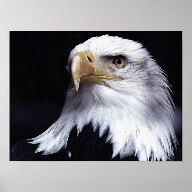 Poster Aigle de Bald (Devant)