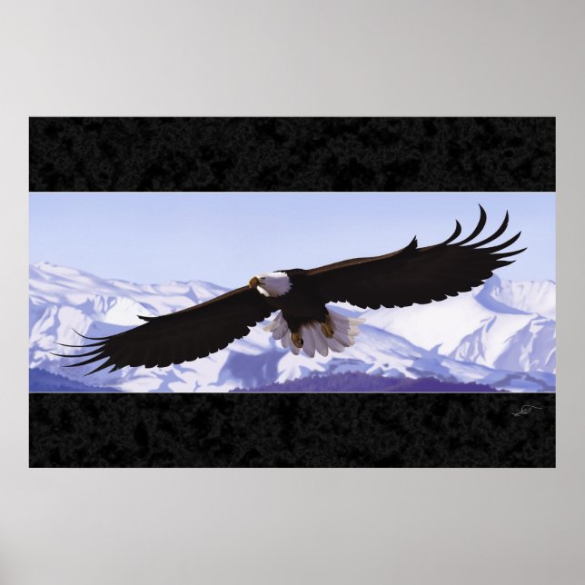Poster Aigle de Bald (Devant)