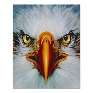 Poster Aigle de face complet