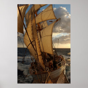 Poster Aigle de la mer