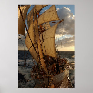 Poster Aigle de la mer