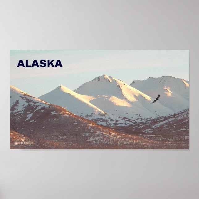 Poster Aigle d'hiver (Devant)