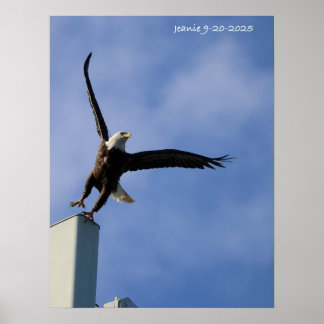 Poster Aigle qui saute