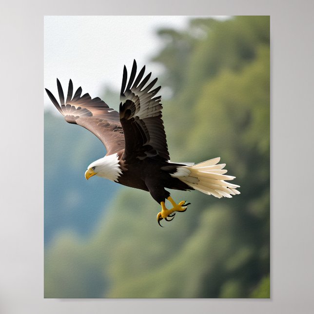 Poster Aigle qui s'envole dans le ciel (Devant)