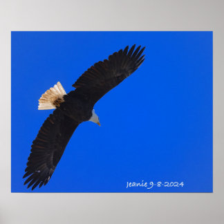 Poster Aigle sur fond de ciel bleu