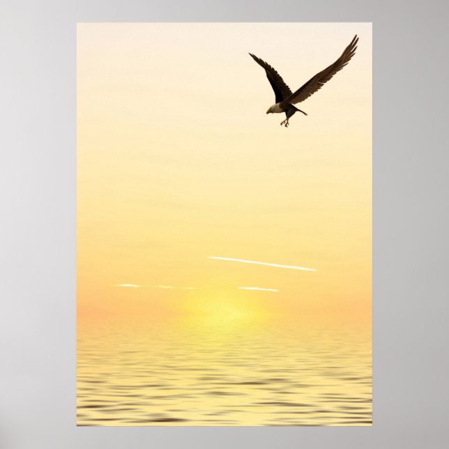 Poster Aigle volant (Devant)