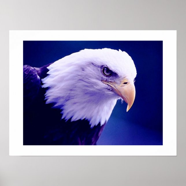 Poster Aigles américains - Imprimantes d'affiches d'aigle (Devant)