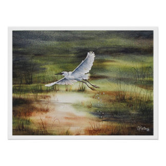 Poster Aigrette blanche aquarelle