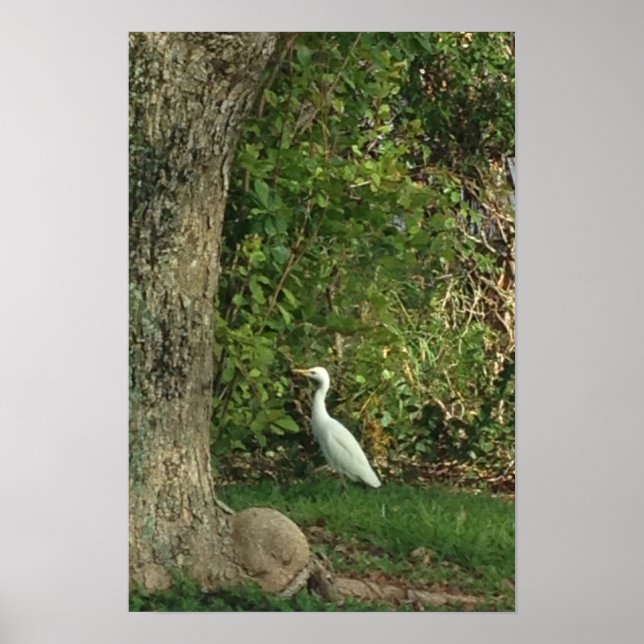 Poster Aiguille blanche (Devant)