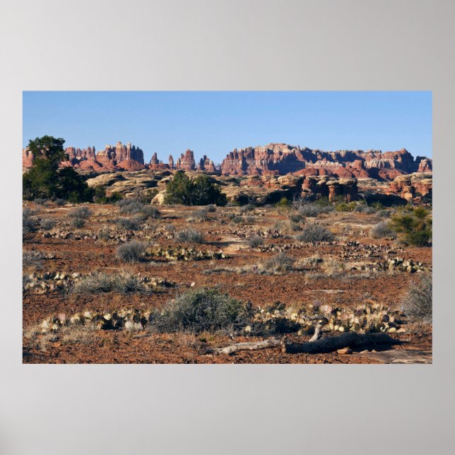 Poster Aiguilles de la piste Pothole Point (Devant)