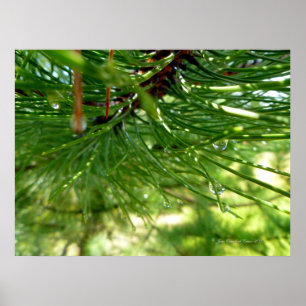 Poster Aiguilles et gouttelettes