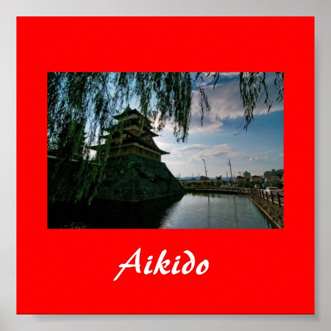 Poster Aikido Japonais Martial Art (Devant)