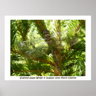 Poster 'Ailes de verre tendues'