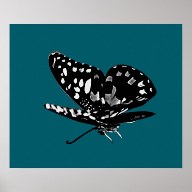 Poster Ailes Diamonées (Devant)