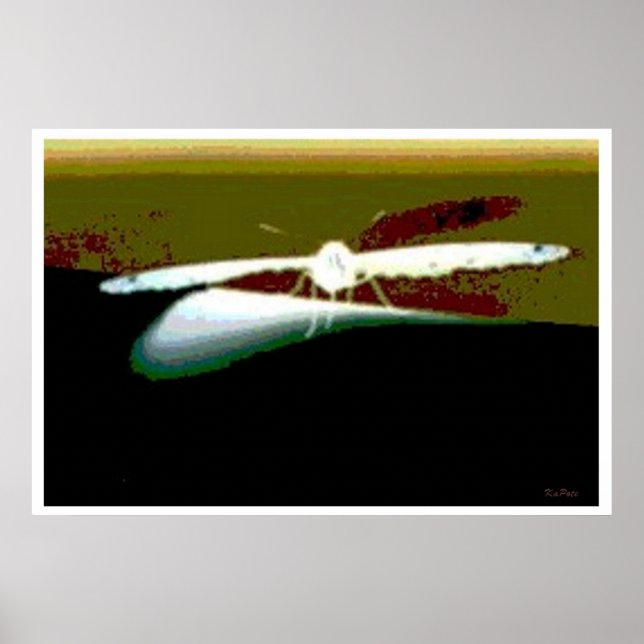 Poster Ailes papillon Abstraites (Devant)