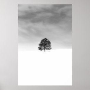 POSTER AIMEZ LA SIMPLICITÉ DE LA PHOTOGRAPHIE HIVER C'EST
