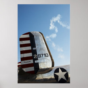 Poster Air americana