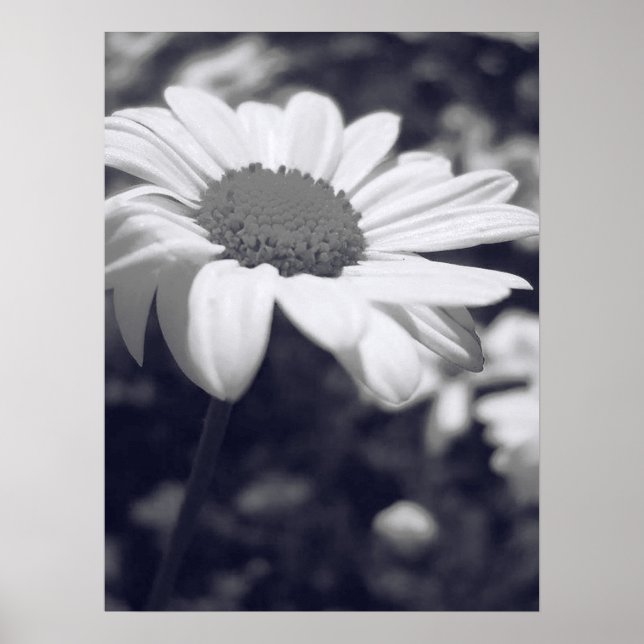 Poster Aire (Devant)