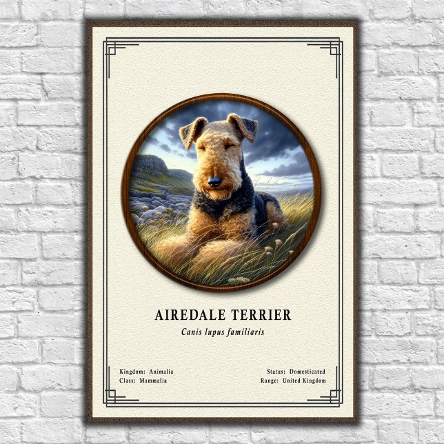 Poster Airedale Terrier Zoology Series (Créateur téléchargé)