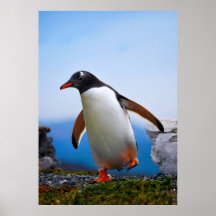 Ajouter Votre Propre Modèle photo Image Cadeaux Pe