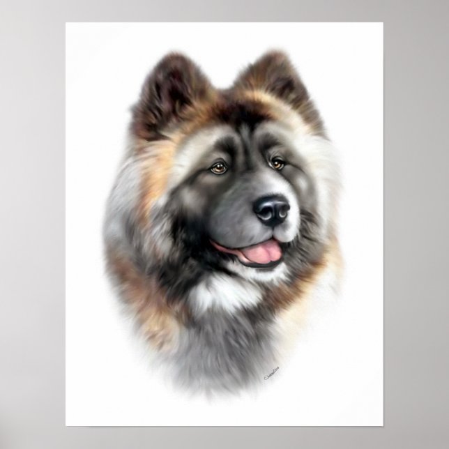 Poster Akita (Devant)