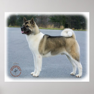 Poster Akita 8P004D-12