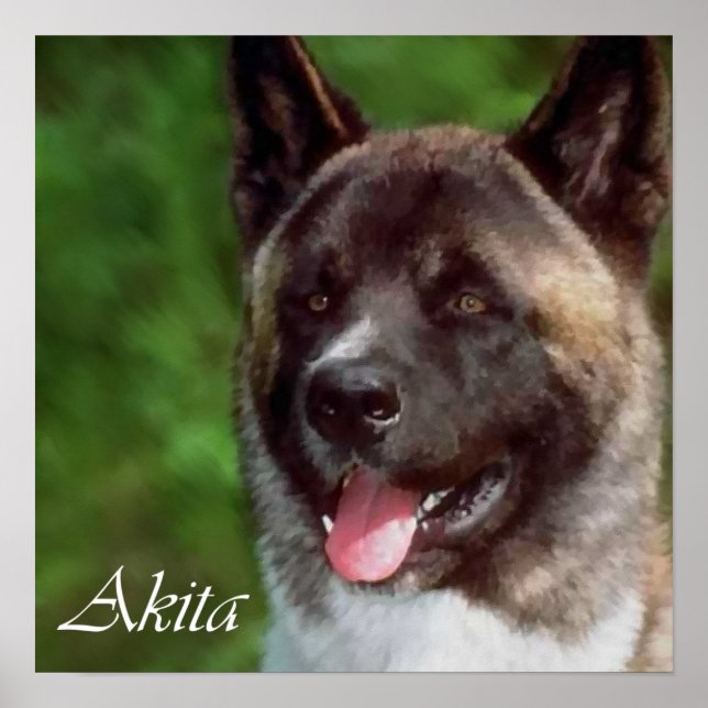 Poster Akita Art Imprimer Cadeaux (Devant)