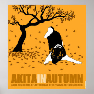 Poster Akita en automne (24" x 26")