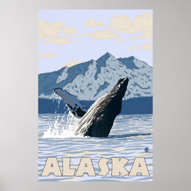 Poster Alaska - Baleine à bosse (Devant)