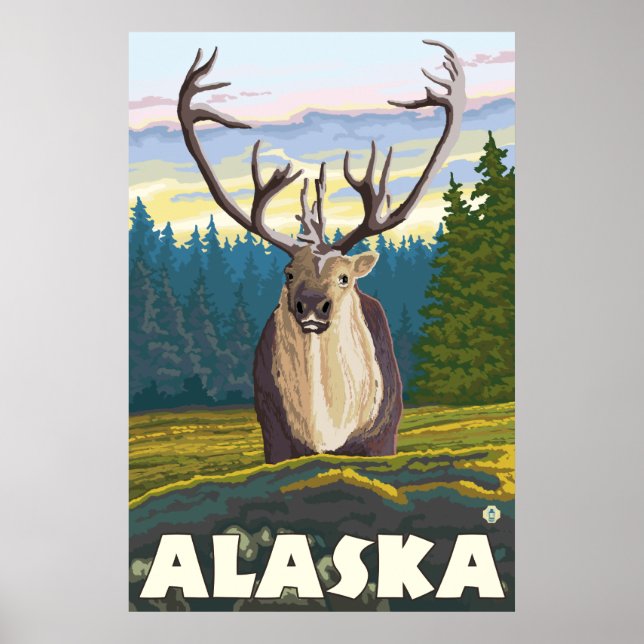Poster Alaska - Caribou dans la nature (Devant)