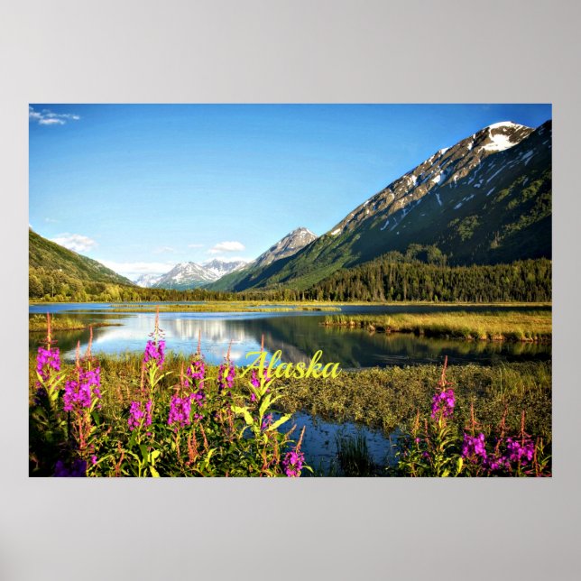 Poster Alaska pittoresque, étiqueté (Devant)