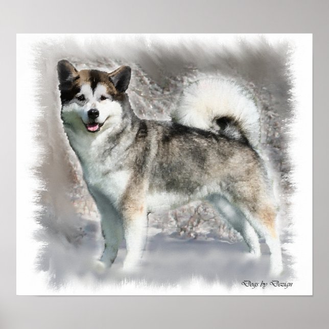 Poster Alaskan Malamute Art Imprimer Cadeaux (Devant)