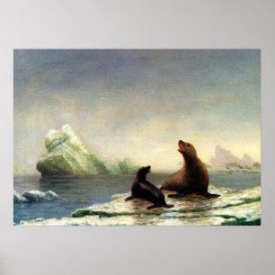 Poster Albert Bierstadt painting, Seals