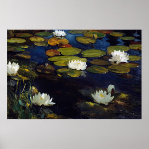 Poster Albert Edelfeue - Lys d'eau, étude