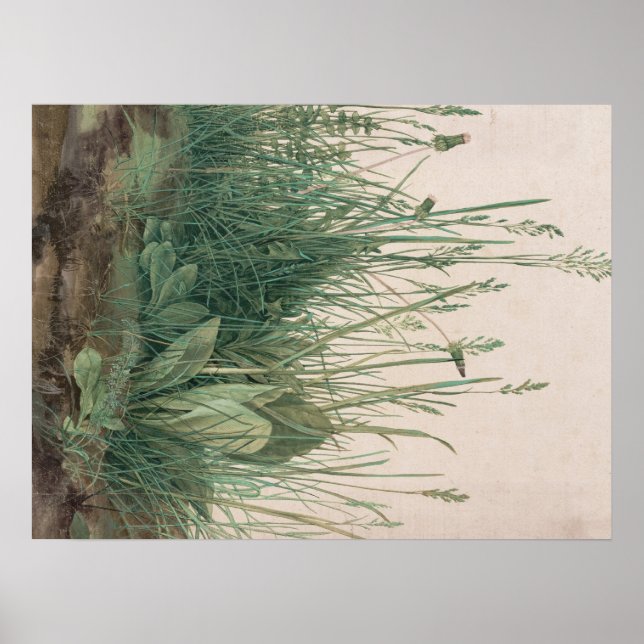 Poster Albrecht Durer (Devant)