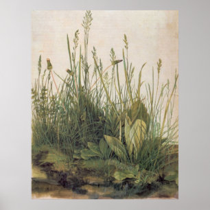 Poster Albrecht Durer Grande pièce de pelouse
