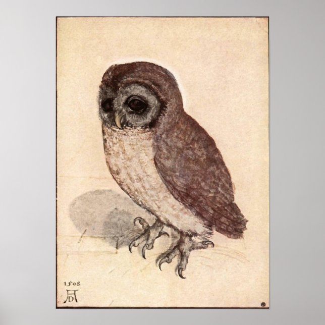 Poster Albrecht Durer Little Owl (Devant)