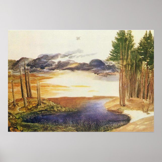 Poster Albrecht Durer Pond dans le bois (Devant)