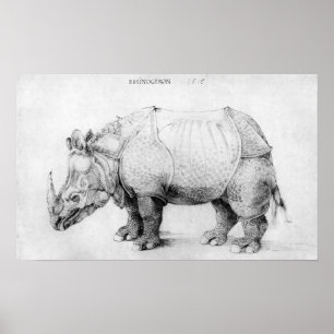 Poster Albrecht Durer Rhinoceros