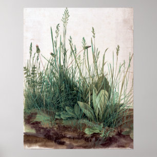 Poster Albrecht Dürer The Large Piece of Turf