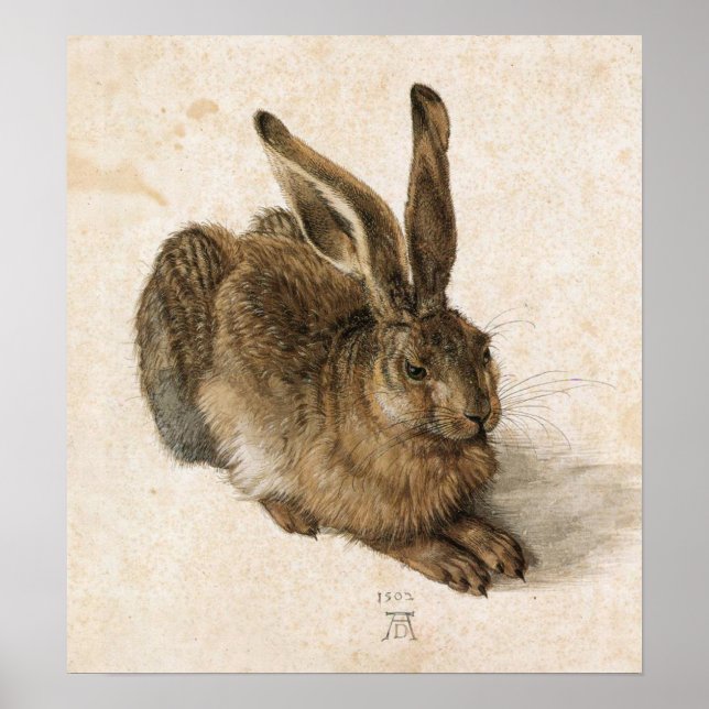 Poster Albrecht Durer Young Hare (Devant)