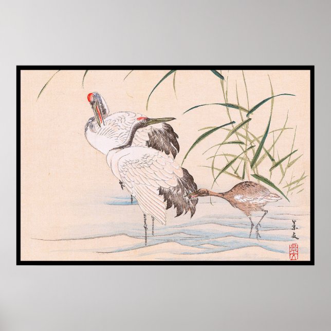 Poster Album d'oiseaux et de fleurs, Wading Cranes Art vi (Devant)