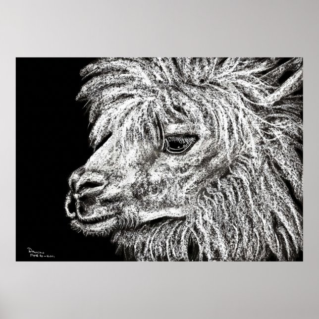 Poster alcapa (Devant)