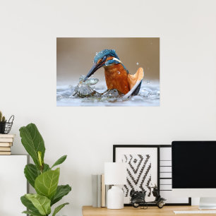 Poster Alcedo Atthis Kingfisher eau de chasse Luca Casale
