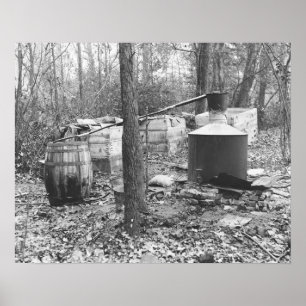 Poster Alcool illégal toujours dans les bois, 1931. Photo