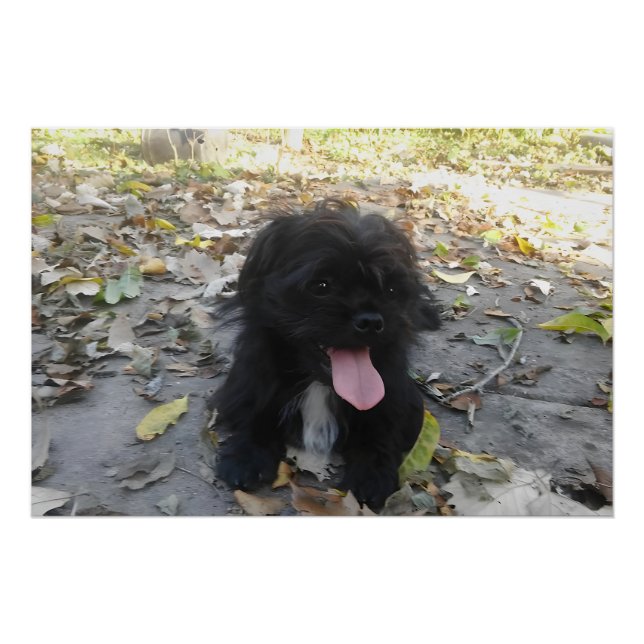 Poster Alerte chiot mignon (Devant)