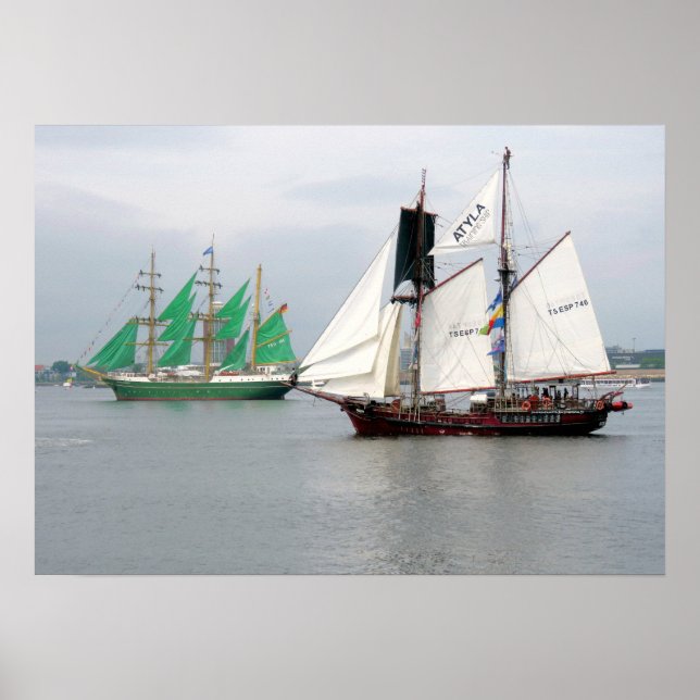 Poster Alexander Von Humboldt II et Atyla (Devant)
